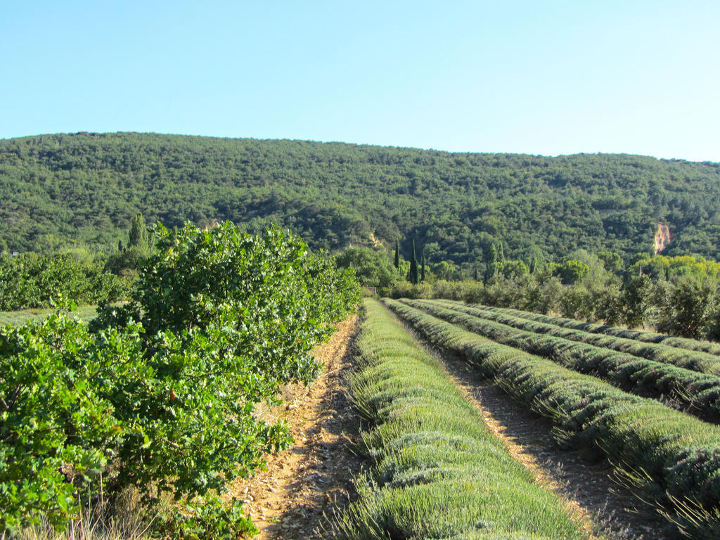 Gites De La Croix Du Gres (Adults Only) Valaurie Екстериор снимка