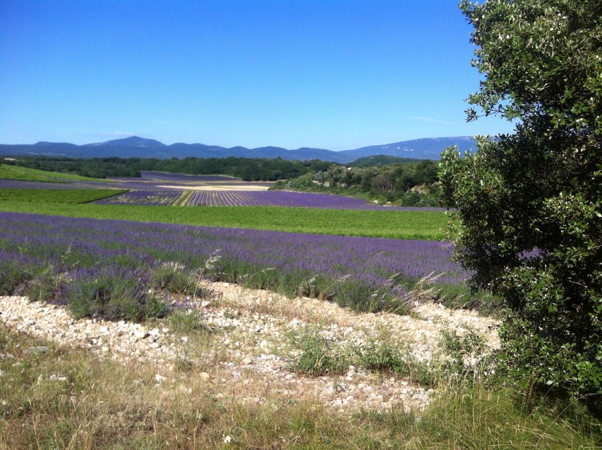 Gites De La Croix Du Gres (Adults Only) Valaurie Екстериор снимка