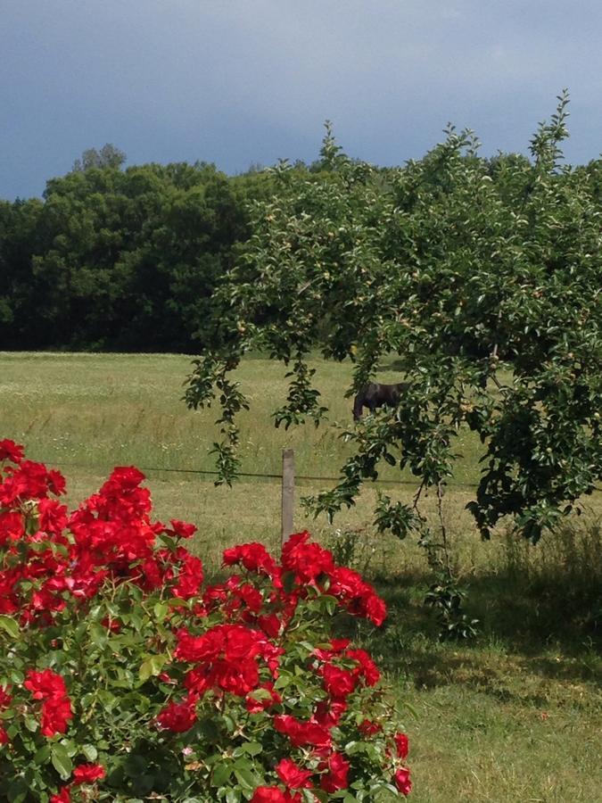 Gites De La Croix Du Gres (Adults Only) Valaurie Екстериор снимка